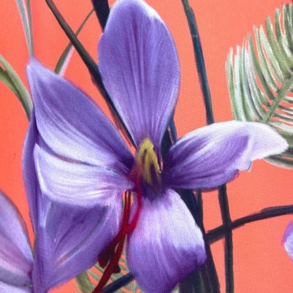 Alice and Olivia Athena Floral Wide-Leg Pants - Picture 2 of 14